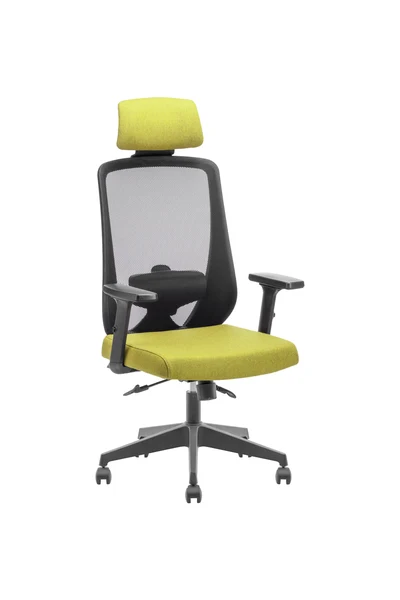 Erosit PRİME PLASTİK AYAK (AYARLI KOL-BEL DESTEKLİ ) · PRM11 · görsel 1